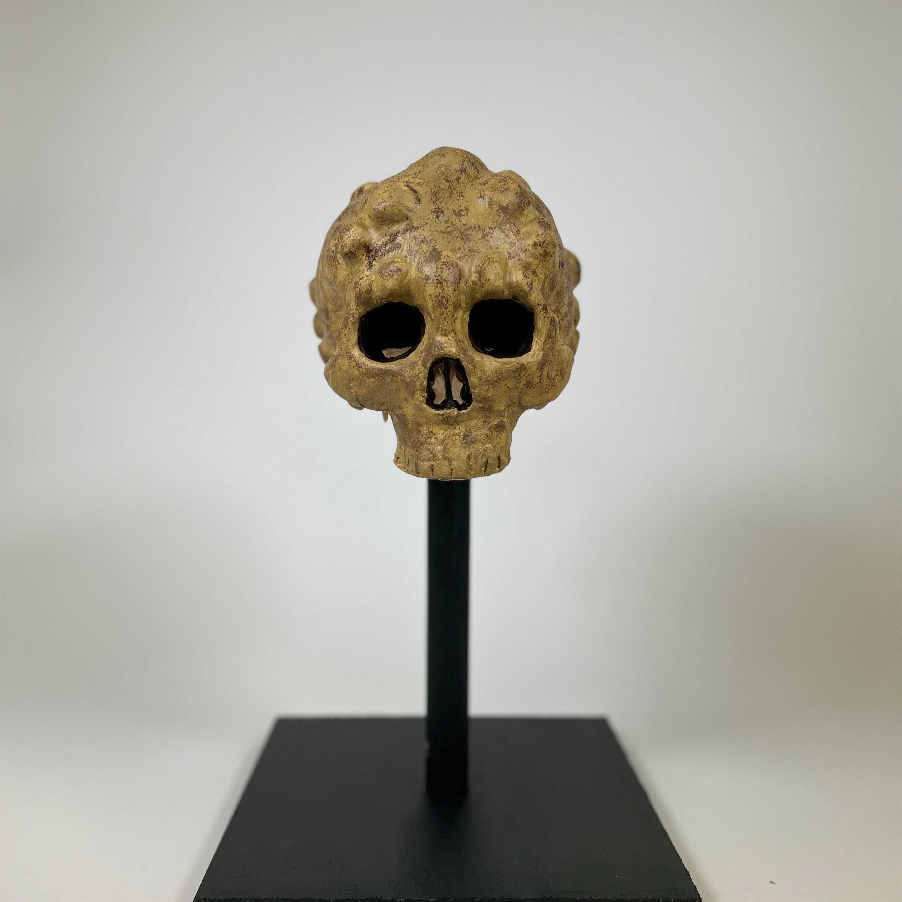 Reimagined skull of Marilyn Monroe with exaggerated phrenology bumps